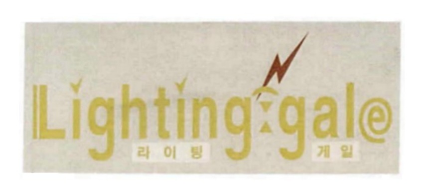 메인플레시
